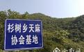 冉启贵:一窝天麻种出的致富路