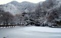 济南实拍:大雪降南山美爆眼球,迷死人不偿命的大片来了!