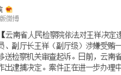 云南省原工业和信息化厅副厅长王祥被捕