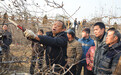 李保国:与巍巍太行相融 与山区百姓相依