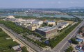擦亮齐文化品牌——一场持续发力的文化复兴行动