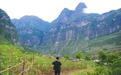 为“悬崖村”脱贫支招:保留“天梯” 连片开发山地旅游