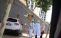 五莲街头惊现三剑客 cosplay“袭击”小县城