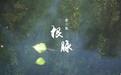 《本草中国》完美收官!中国草药真是博大精深啊!
