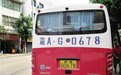 坐校车或旅游大巴 认准“渝AJ”、“渝AL”开头车牌