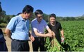 新疆正生集团推出“天山硕参” 解码人类健康新标准