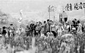 “世园小使者”延庆学园艺