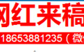 【网红来稿】芦花如雪,这才是咱泰安冬天最美的风景