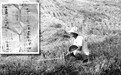 一户分一块 小田变大田(乡村观察)
