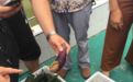 四川一幼儿园发现臭肉和烂茄子 多名儿童发烧呕吐