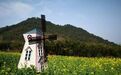 《2019年宁波人最潮的踏春赏花游网红景点攻略》 新鲜出炉!