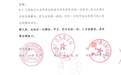 “比亚迪”亿级广告诈骗奇案:神秘中间人李娟和她的隐秘上线