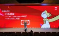 京东金融11.11白条提额达800亿 三四线京东金融支付强势增长