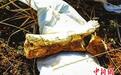 青海评价出世界级地质遗迹 专家称或将发现更多动物化石