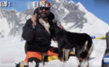 第一只登顶7129米高峰的狗 仅靠爪子征服喜马拉雅山