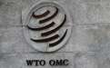 WTO宣布的这件事让美国政府大怒 外媒：中国的机会来了！