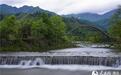 高清组图:四月麻城看杜鹃 龟峰峡谷揽飞瀑