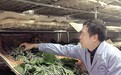 永川三教走出的教授,醉心研究家蚕