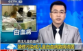 室内空气检测揭秘:你真的了解你的家吗?