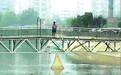 提醒:金水河里的水是中水含重金属这里的鱼可不能乱吃