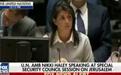 美国女大使在联合国“单挑”14国:少对我说教!