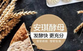子公司终止上市,陷入成长尴尬期的安琪酵母如何再“发酵”?