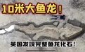 英国水库发现侏罗纪巨型海怪!