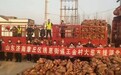 2万斤章丘状元葱驰援湖北黄冈