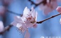 一日禅:人间烟火