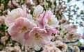 一日禅:转念即安
