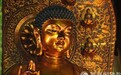 一日禅:待人如己