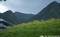 一日禅:光明属于勇者