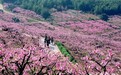 发放亿元惠民消费券、四月举办乡村旅游节……宁波多措并举提升“文旅精气神”!