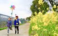 鄞州率先吹响复苏乡村旅游号角!6条“云游”线路相约春天