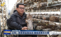 山东:扶贫资金做加法 握指成拳办大事