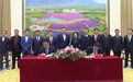 金昌牵手“广州江楠”20亿打造果菜“产采供销”链条