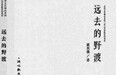 超越“工匠精神”的书写——评《远去的野渡》