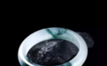 有“苍蝇翅”的玉石就是天然翡翠么?