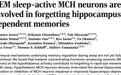 做梦记不住是大脑的主动遗忘？科学家或找到调节记忆的靶点