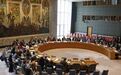 中俄要求联合国安理会举行紧急会议