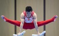 中国队包揽军运会体操单项6块金牌