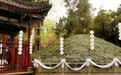 诸葛亮死后千年,竟然还能料事如神,活活气死了一个嚣张的人