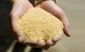 中国与世界最大豆粕出口国阿根廷达成“历史性”协议