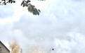 关公战秦琼?英国陆军先进坦克“猛轰”苏联老坦克