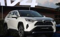 全新丰田RAV4上市,有人只关注价格,懂车的都在问麋鹿测试成绩?