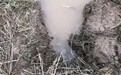 探访甘肃张家川偷排作坊:排污管藏地下,县纪委介入
