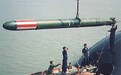 大力采购重型鱼雷,印度海军掀起一场“鱼雷革命”究竟意欲何为?