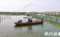 阳澄湖大闸蟹9月23日开捕，价格预计比去年涨10%