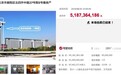 国资金隅51.87亿接盘“龙首” 创网络法拍新纪录