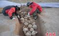 王莽的头如何流转270年?这本书告诉你答案